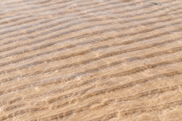 Sea sand texture