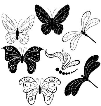 silhouettes of butterflies and dragonflies