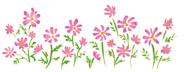 コスモス畑 © 詩織