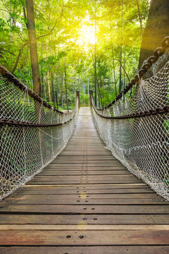 Fototapeta Suspension bridge in the forest