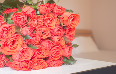 red rose on white table