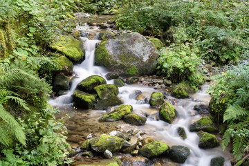 water stream on mountain river, Dolomites, Italy