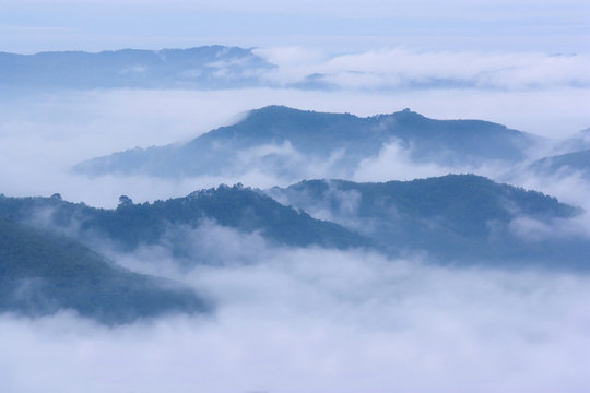 Fototapeta beautiful mist sea on top moutain