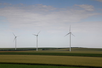 Eolienne dans les champs.