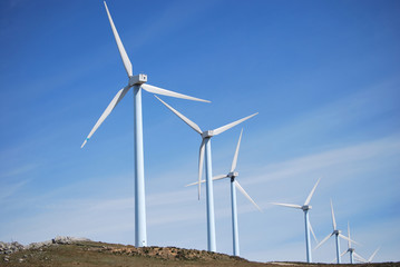Windmills. Renewable energy