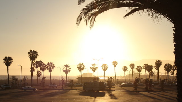 West Coast Beach Parking Lot and Palm Trees