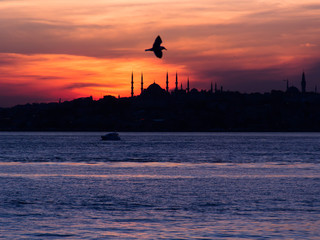 Istanbul Sunset and Silhouette Beautiful Ramadan View Sultanahmet Mosque Minaret. Best touristic point from Istanbul, Turkey