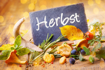 Herbst  -  Herbststimmung  -  Herbstdekoration