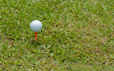 golf ball on tee