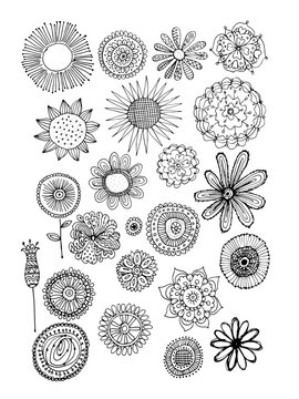 Flowers collection, sketch for your design