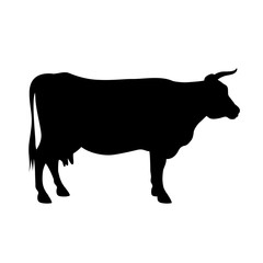 Cow silhouette 001