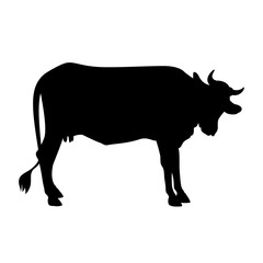 Cow silhouette 002