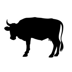 Cow silhouette 003