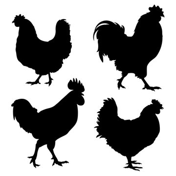 Chicken Silhouette 001