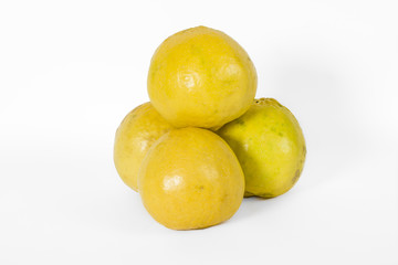 Wild lemon on white