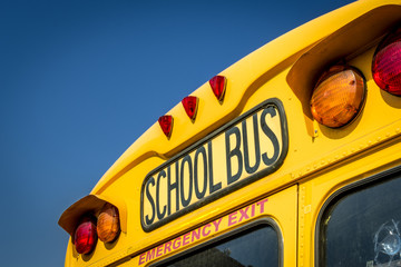 Closeup of a school bus from the back with the stop lights and the emergency exit visible