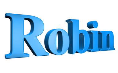 3D Robin text on white background
