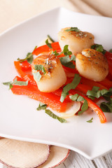 fried scallops with red pepper close-up on a plate. vertical
