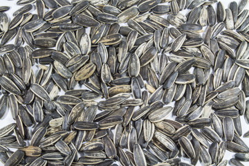  sunflower seed