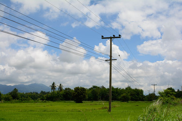 Fototapeta na wymiar Power pole on field In rural Thailand.