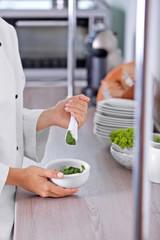 Cook hands with mortar with herbs on bright background