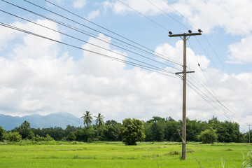 Fototapeta na wymiar Power pole on field In rural Thailand.