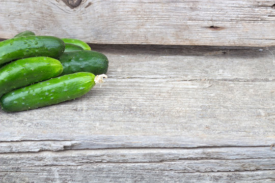 The small group of fresh natural cucumbers on wooden texture
