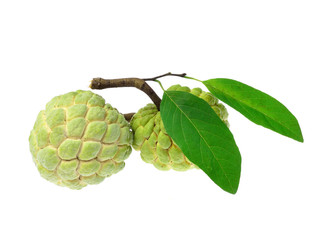 Fototapeta premium Fresh custard apple isolated on white background