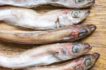 Tilapia fish carcasses