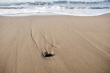 descanso a la orilla de la playa