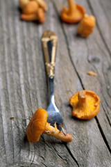 fresh chanterelle mushrooms