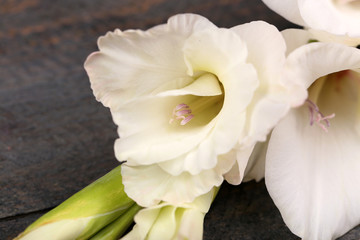 Beautiful gladiolus on wooden table close up