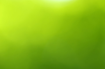 green bokeh