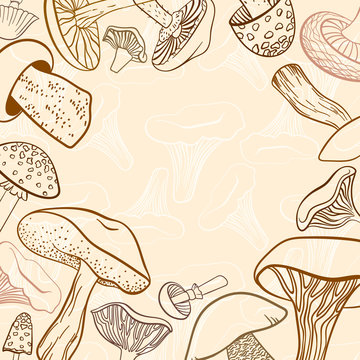 Frame of different hand drawn mushrooms in pastel brown tones