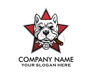 smokers dog star pitbull