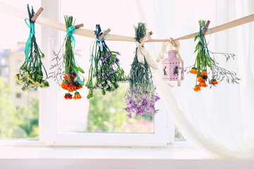 Various herbs and flowers drying on thong on light background