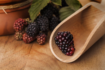 Blackberry in the spoon