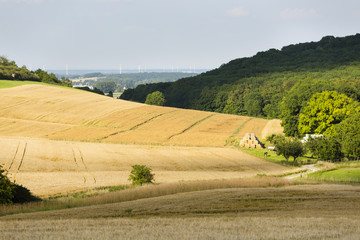 Fototapeta na wymiar Hills And Golden Fields