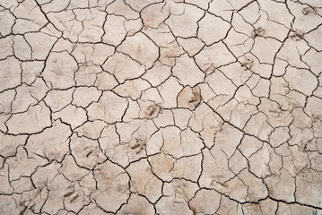 Dry cracked soil with animal footprints