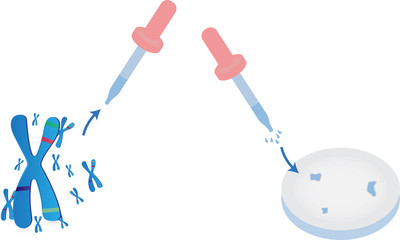 Genetic Modifications Laboratory