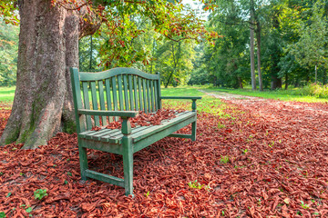 Bench in autumnal park.