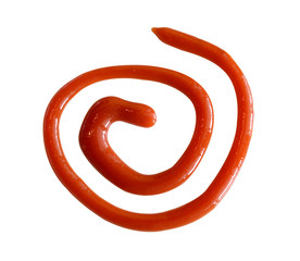 tomato sauce or ketchup isolated on a white background (clipping path)