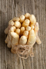Fresh white asparagus