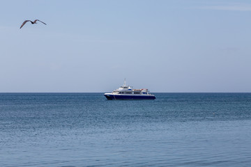 Blue and White Fishing Boat Morred on Sea