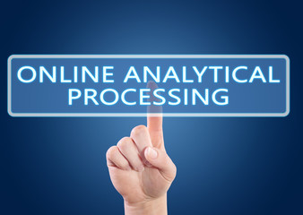 Online Analytical Processing