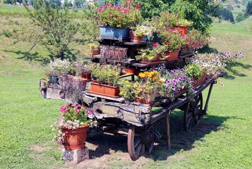 ornate wooden cart full of blooming flowers in the Meadow