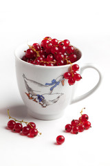 ceramic cup with wet red currant