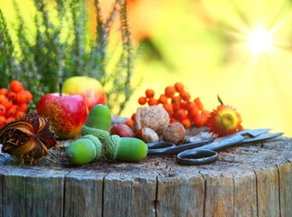 herbststimmung