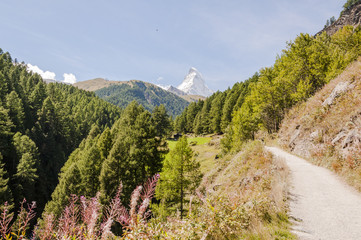 Zermatt, Dorf, Alpen, Schweizer Alpen, Wallis, Wanderferien, Wanderweg, Zmutt, Furi, Schwarzsee, Sommer, Schweiz