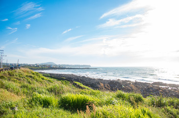 The Nature of Jeju Island in Korea 韓国済州島の自然